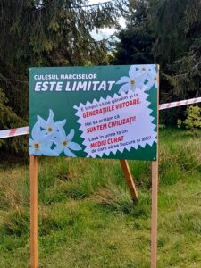 Avertisment