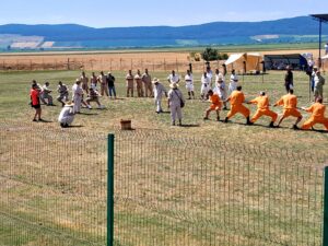 FESTIVALUL CETĂILOR DACICE