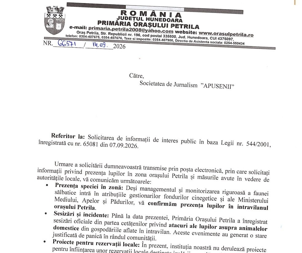 LUPII LAOLALTĂ. LA PETRILA